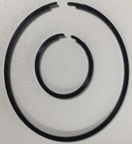 Seal rings